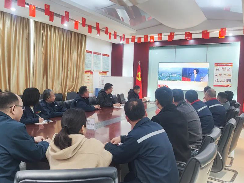 实干兴邦 久久为功｜新科起重组织党员干部收听收看两 会闭幕式